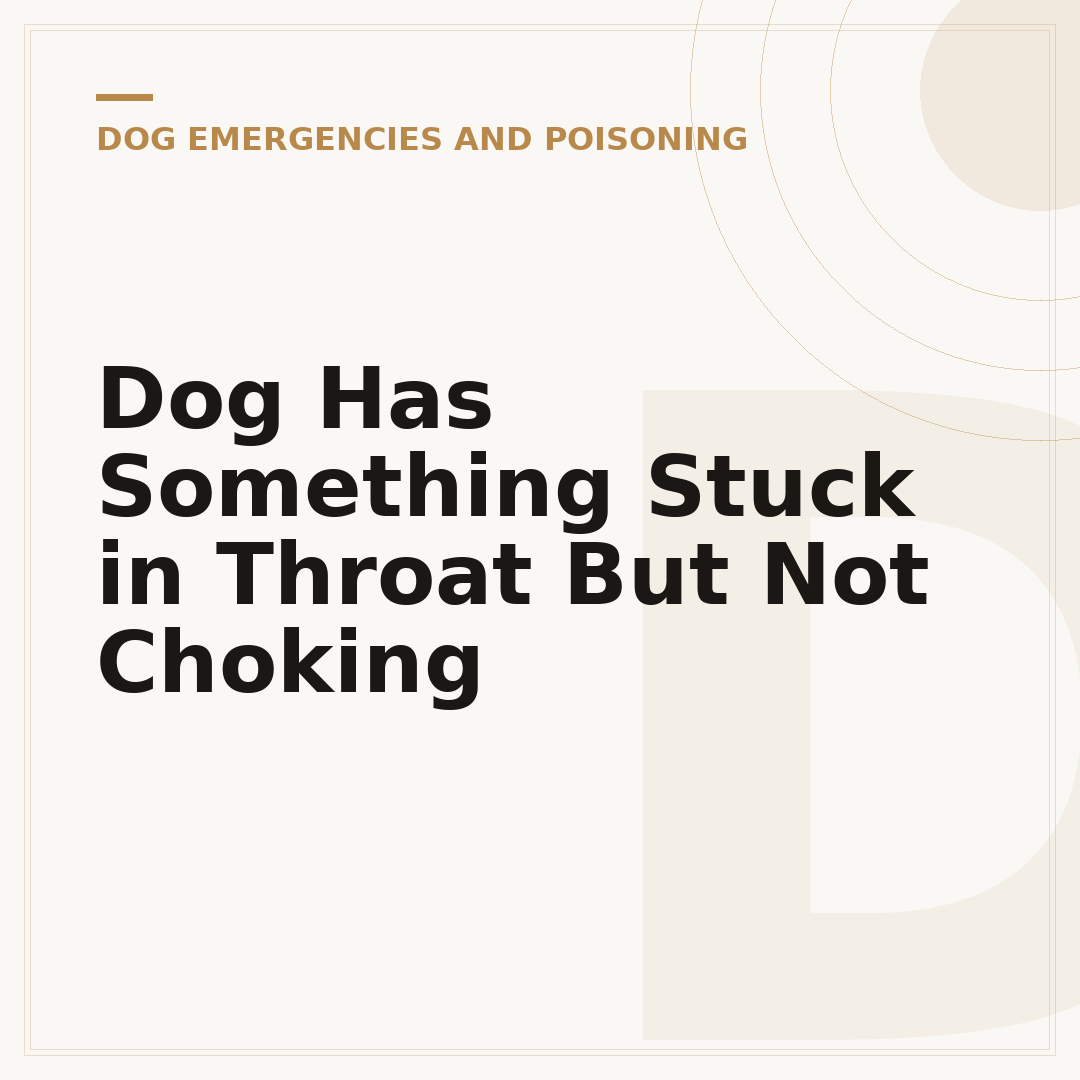 Dog Has Something Stuck in Throat But Not Choking