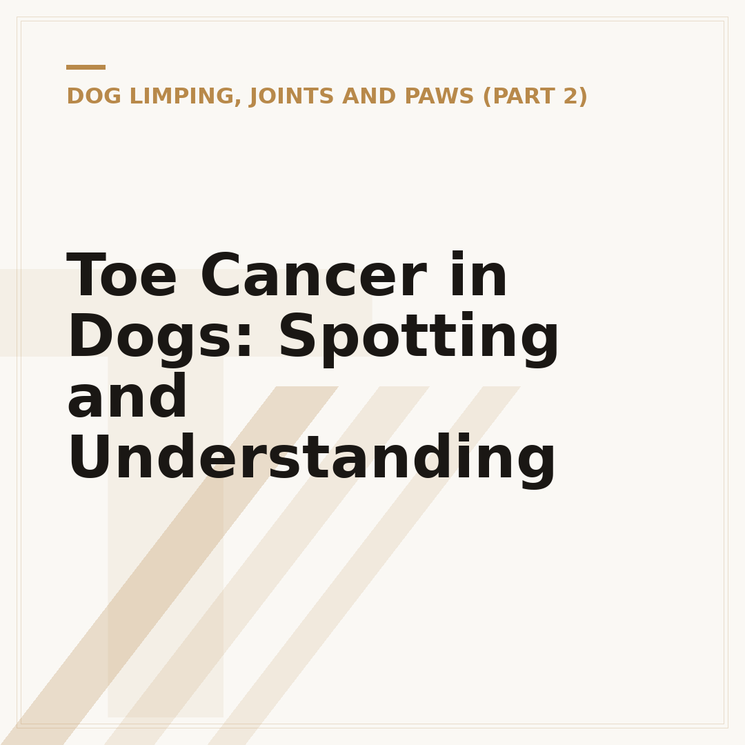 Toe Cancer in Dogs: Spotting and Understanding