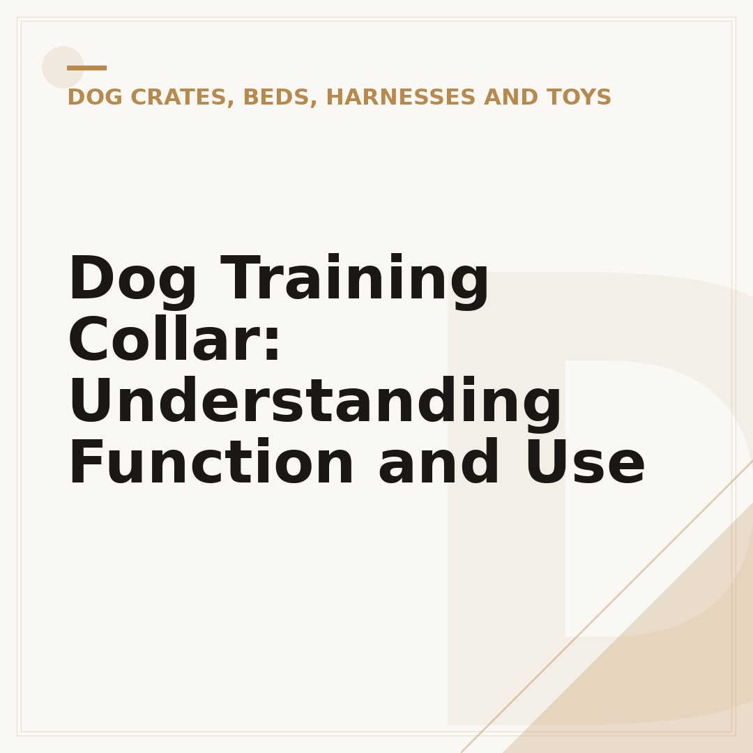 Dog Training Collar: Understanding Function and Use