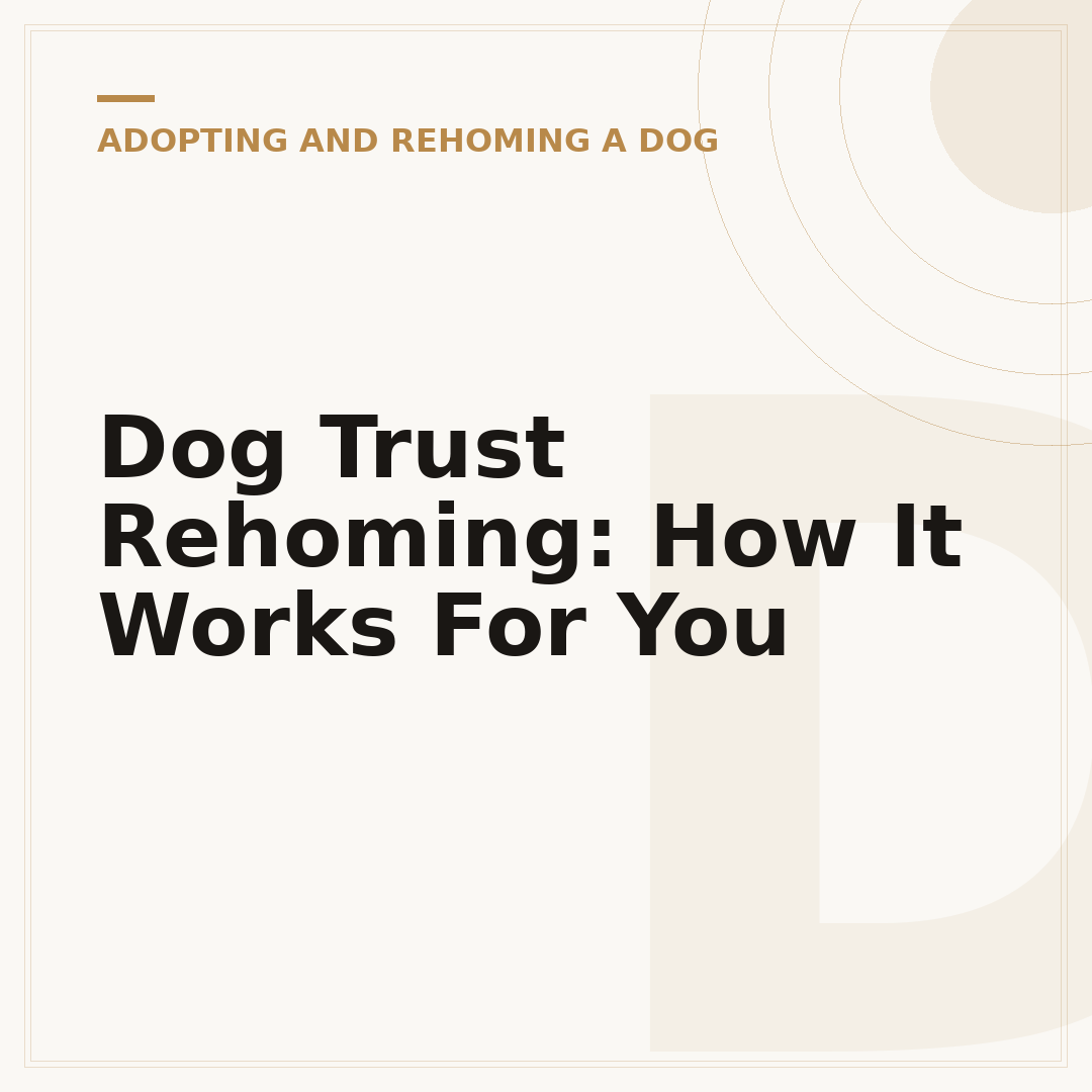 Dog Trust Rehoming: How It Works For You