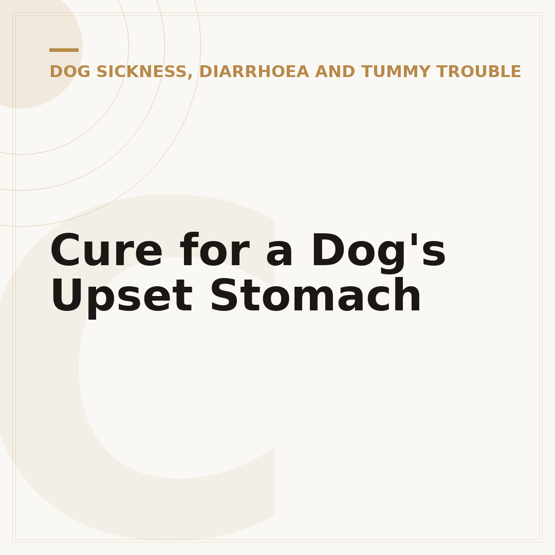 Cure for a Dog's Upset Stomach