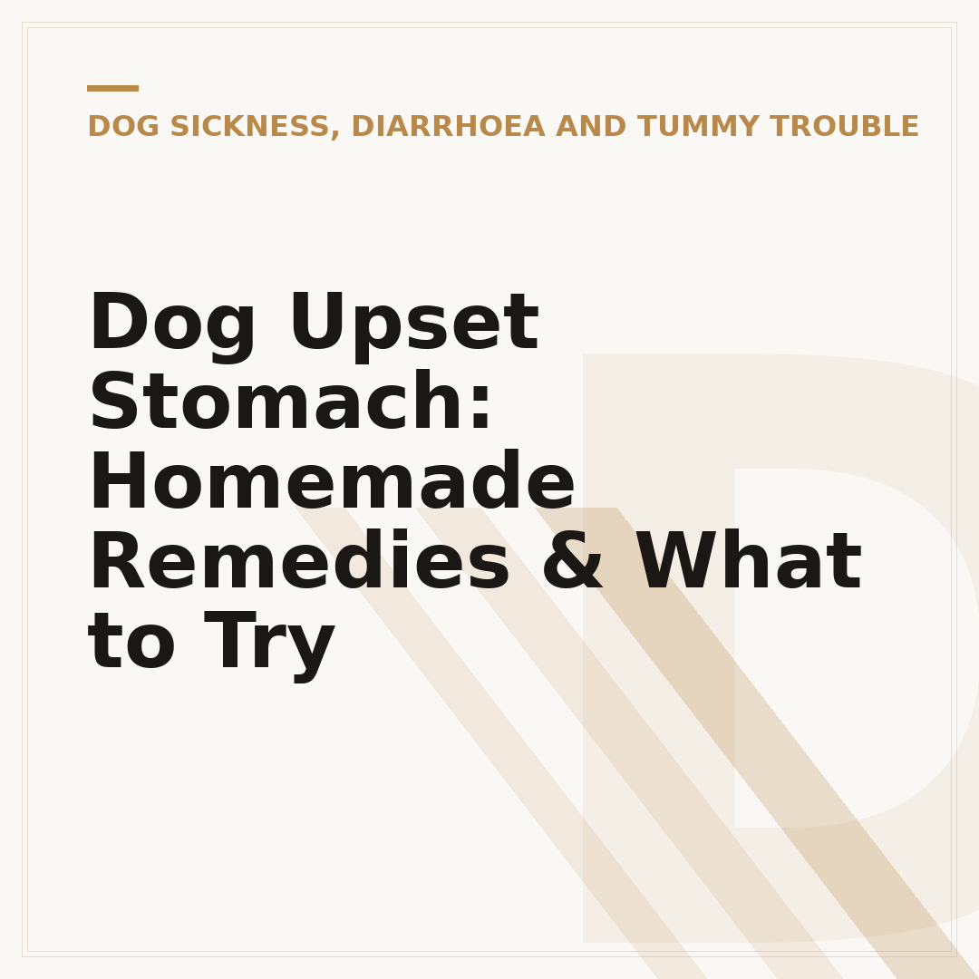 Dog Upset Stomach: Homemade Remedies & What to Try