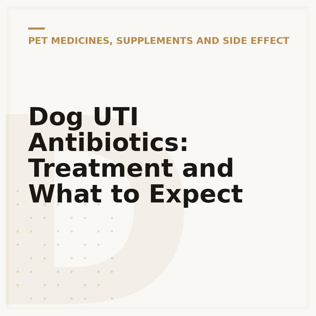 Dog UTI Antibiotics: Treatment and What to Expect