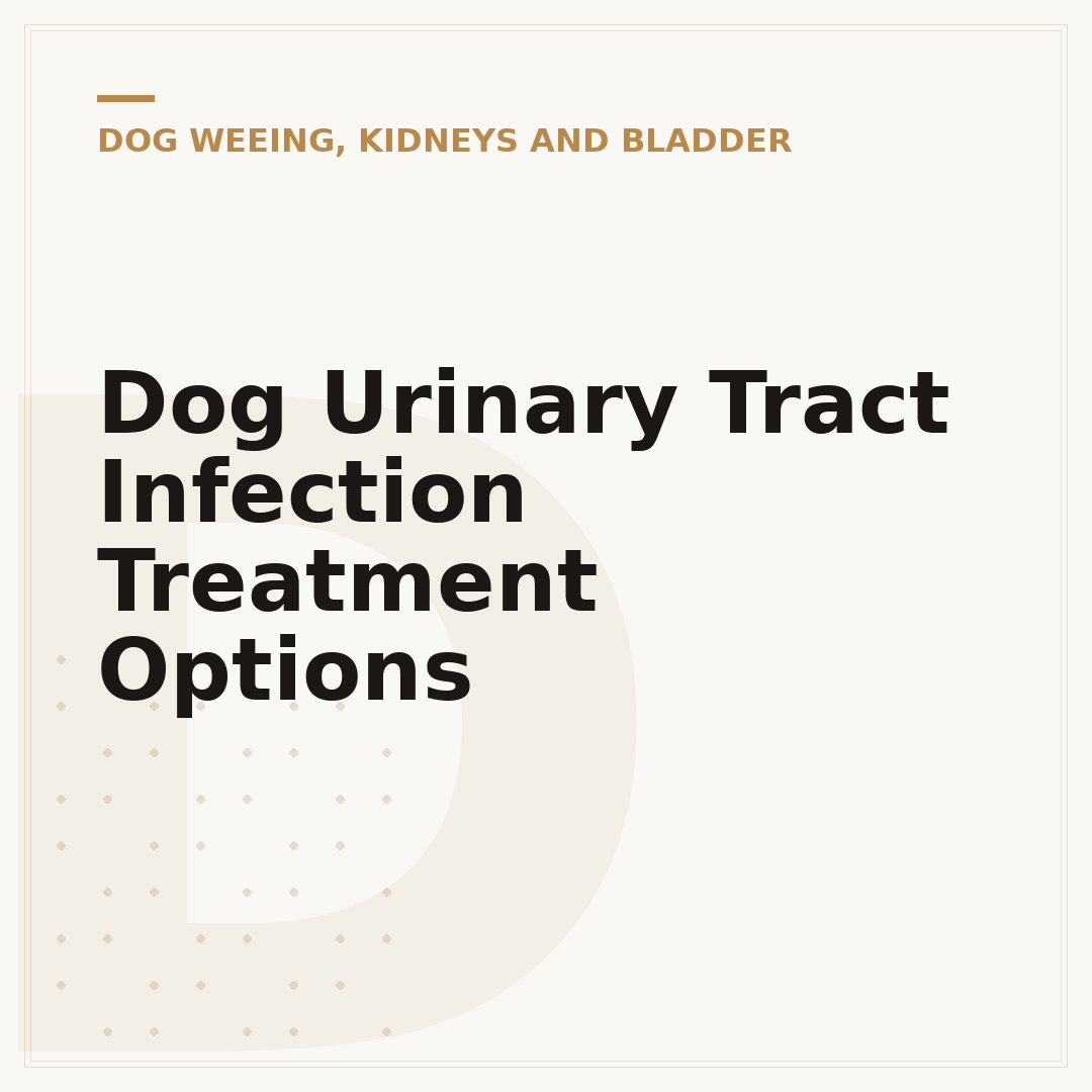 Dog Urinary Tract Infection Treatment Options