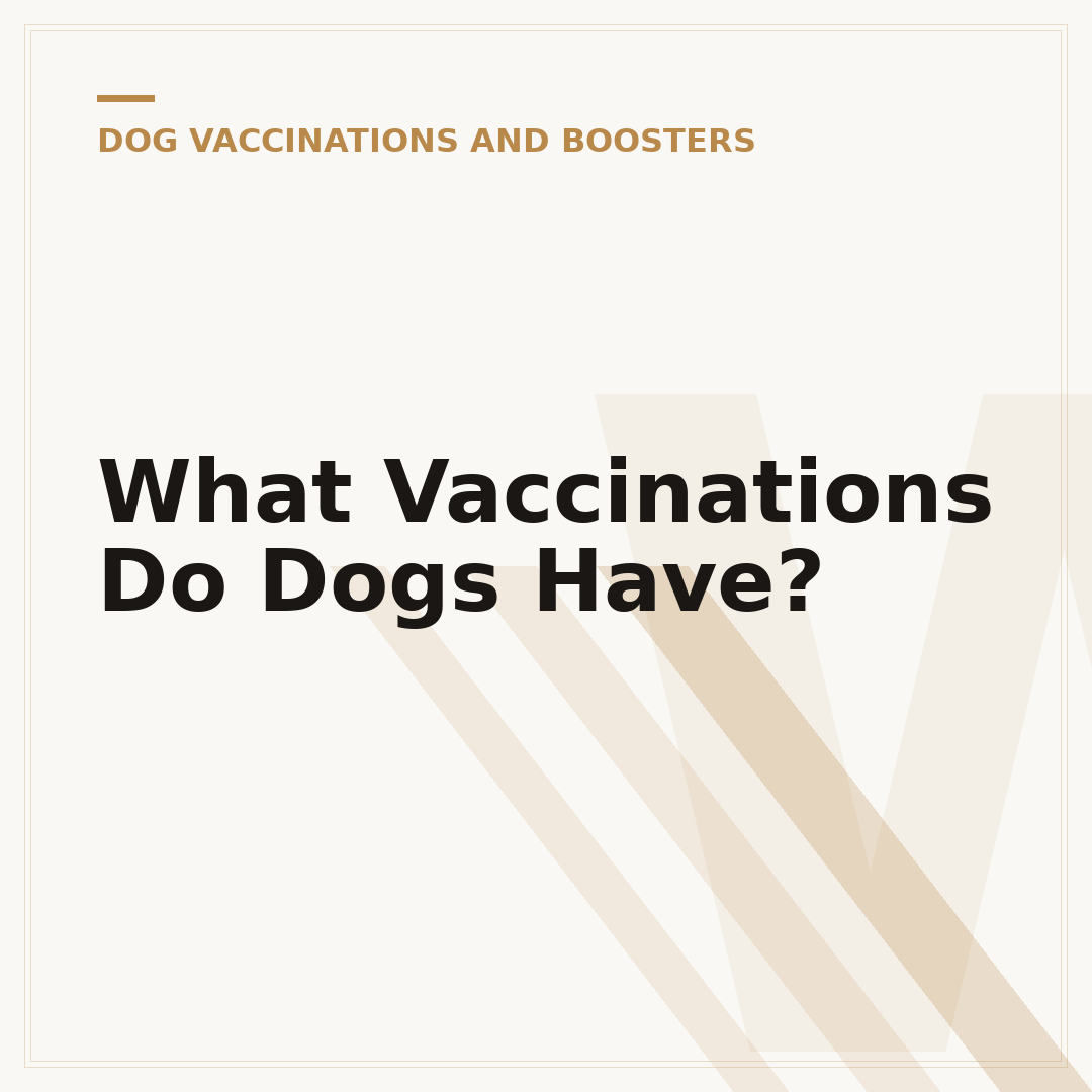 What Vaccinations Do Dogs Have?
