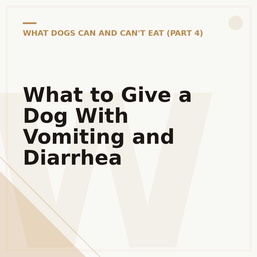 What to Give a Dog With Vomiting and Diarrhea