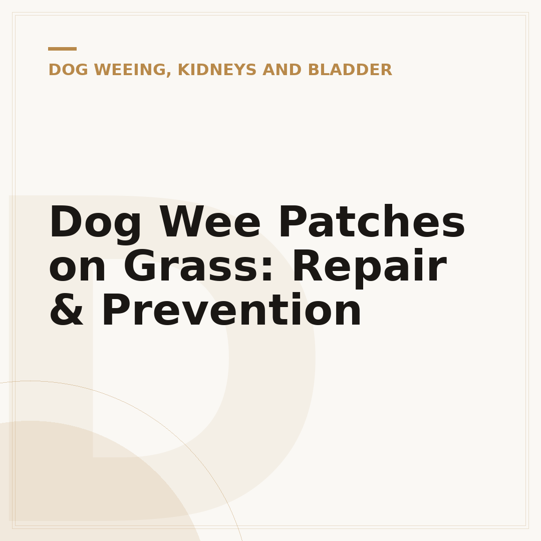 Dog Wee Patches on Grass: Repair & Prevention