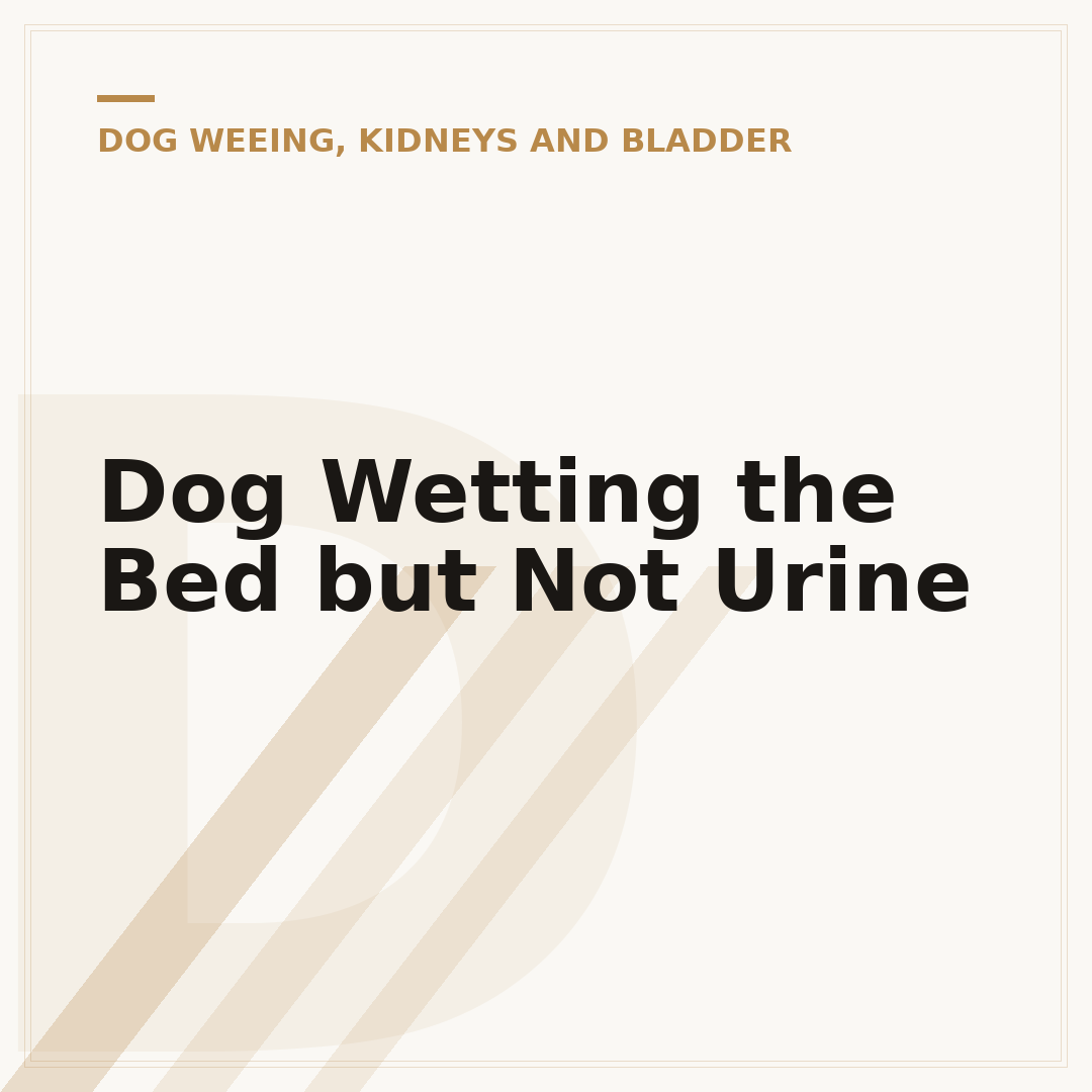 Dog Wetting the Bed but Not Urine