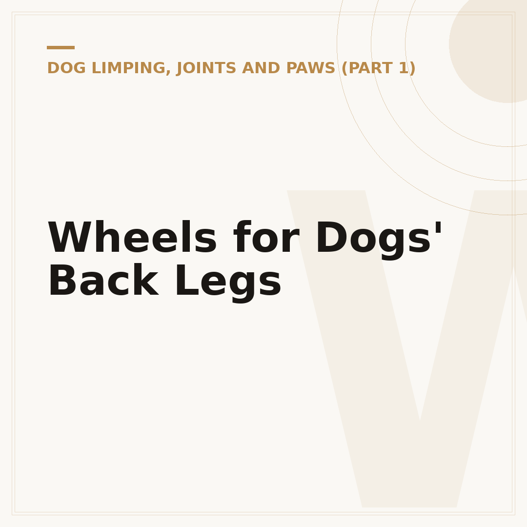 Wheels for Dogs' Back Legs