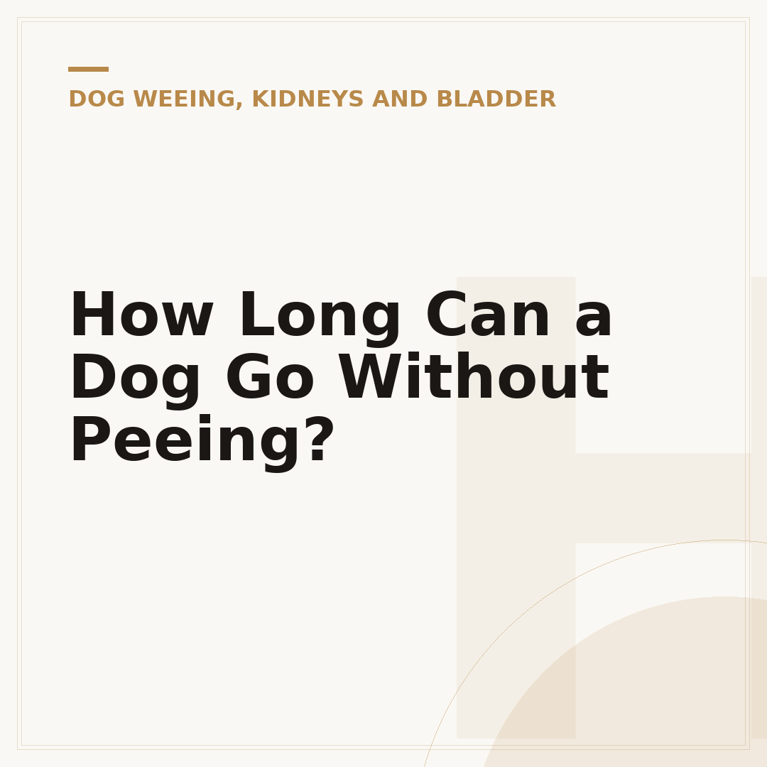 How Long Can a Dog Go Without Peeing?