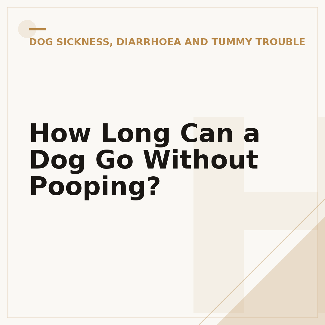 How Long Can a Dog Go Without Pooping?