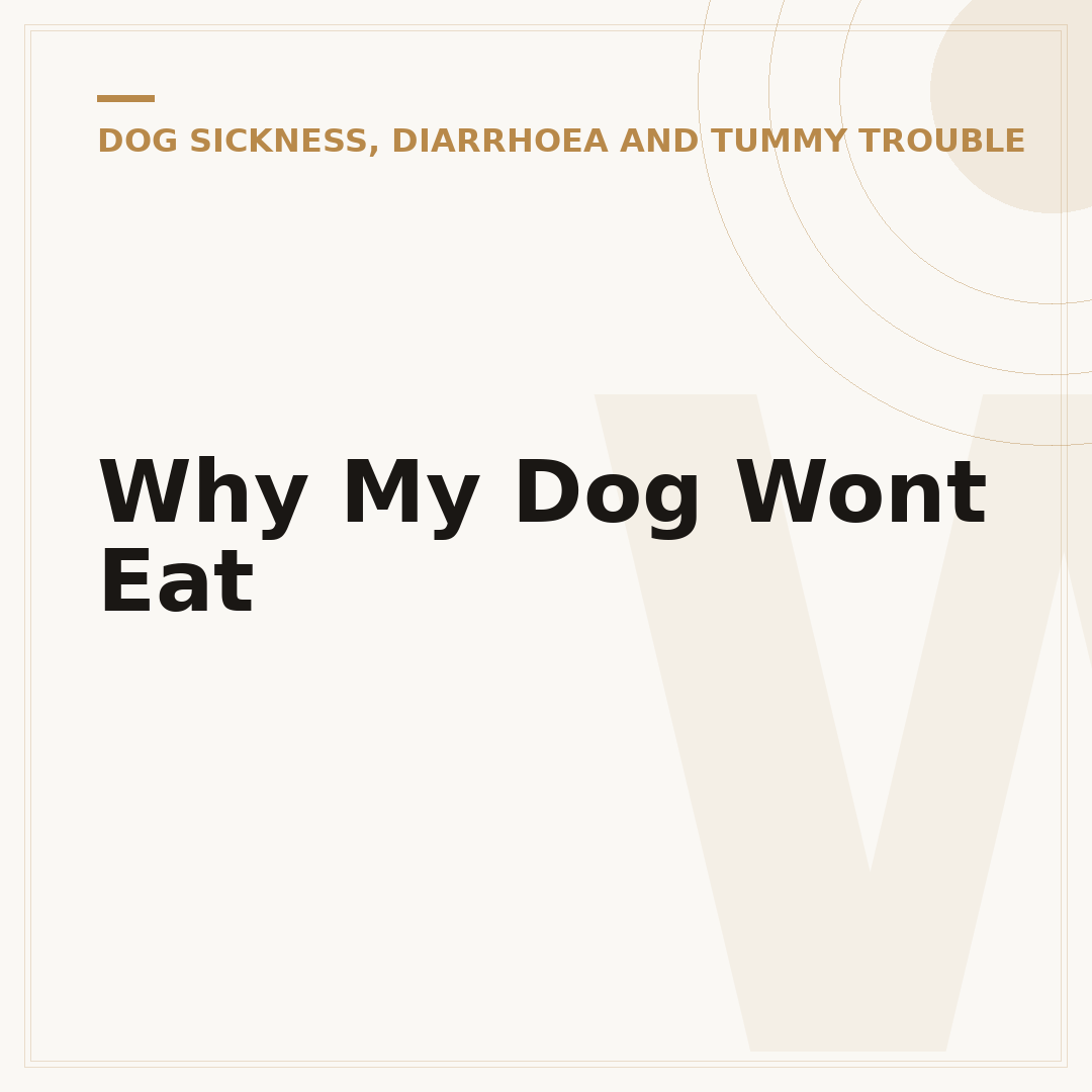 Why My Dog Wont Eat