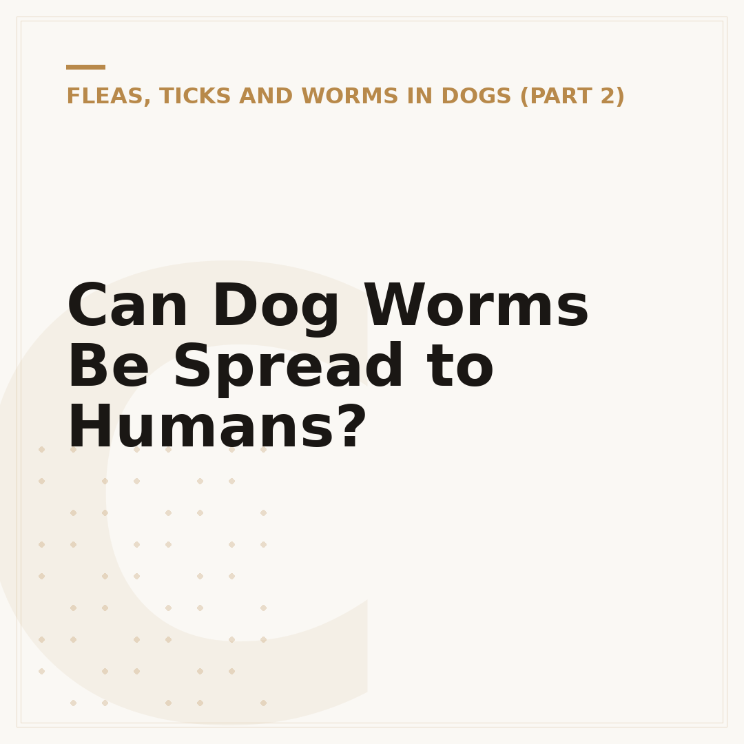 Can Dog Worms Be Spread to Humans?
