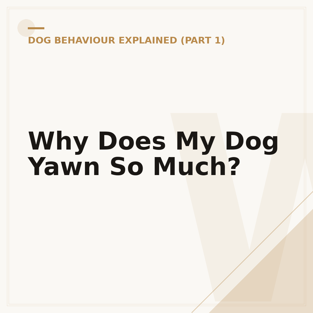 Why Does My Dog Yawn So Much?