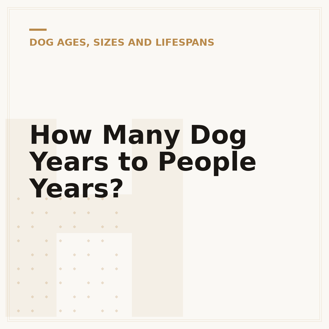 How Many Dog Years to People Years?