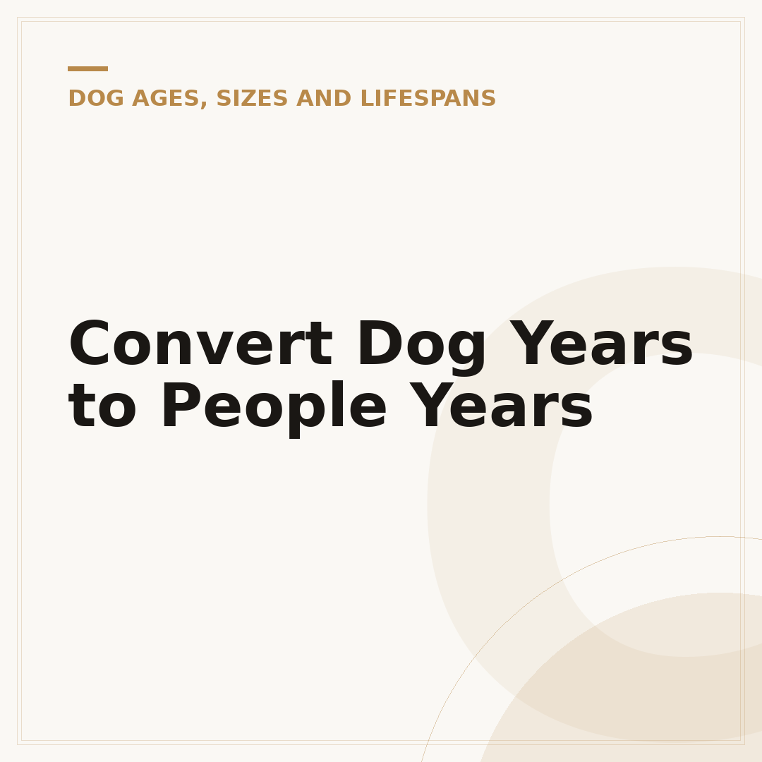 Convert Dog Years to People Years
