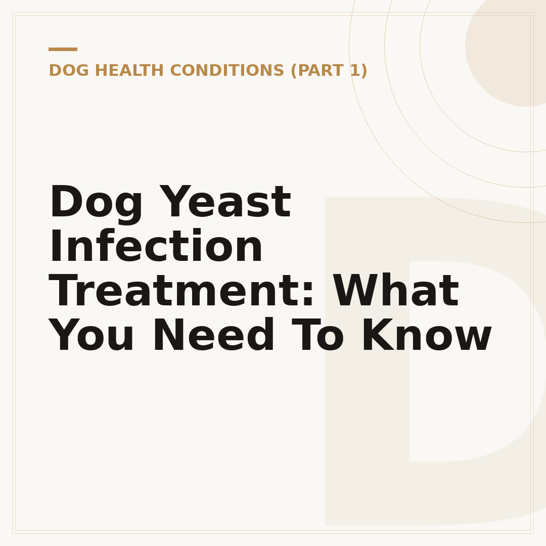 Dog Yeast Infection Treatment: What You Need To Know