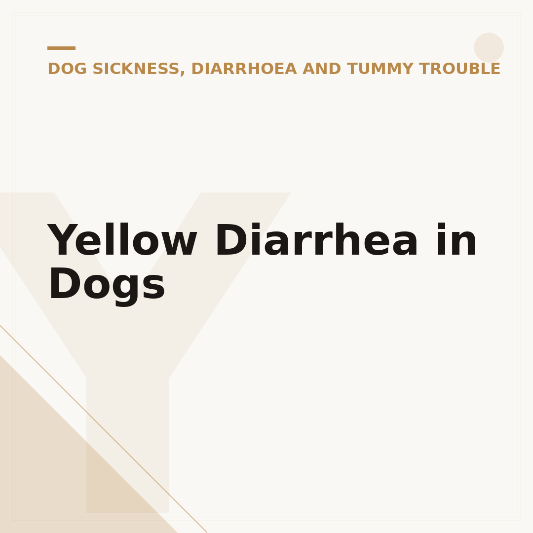 Yellow Diarrhea in Dogs