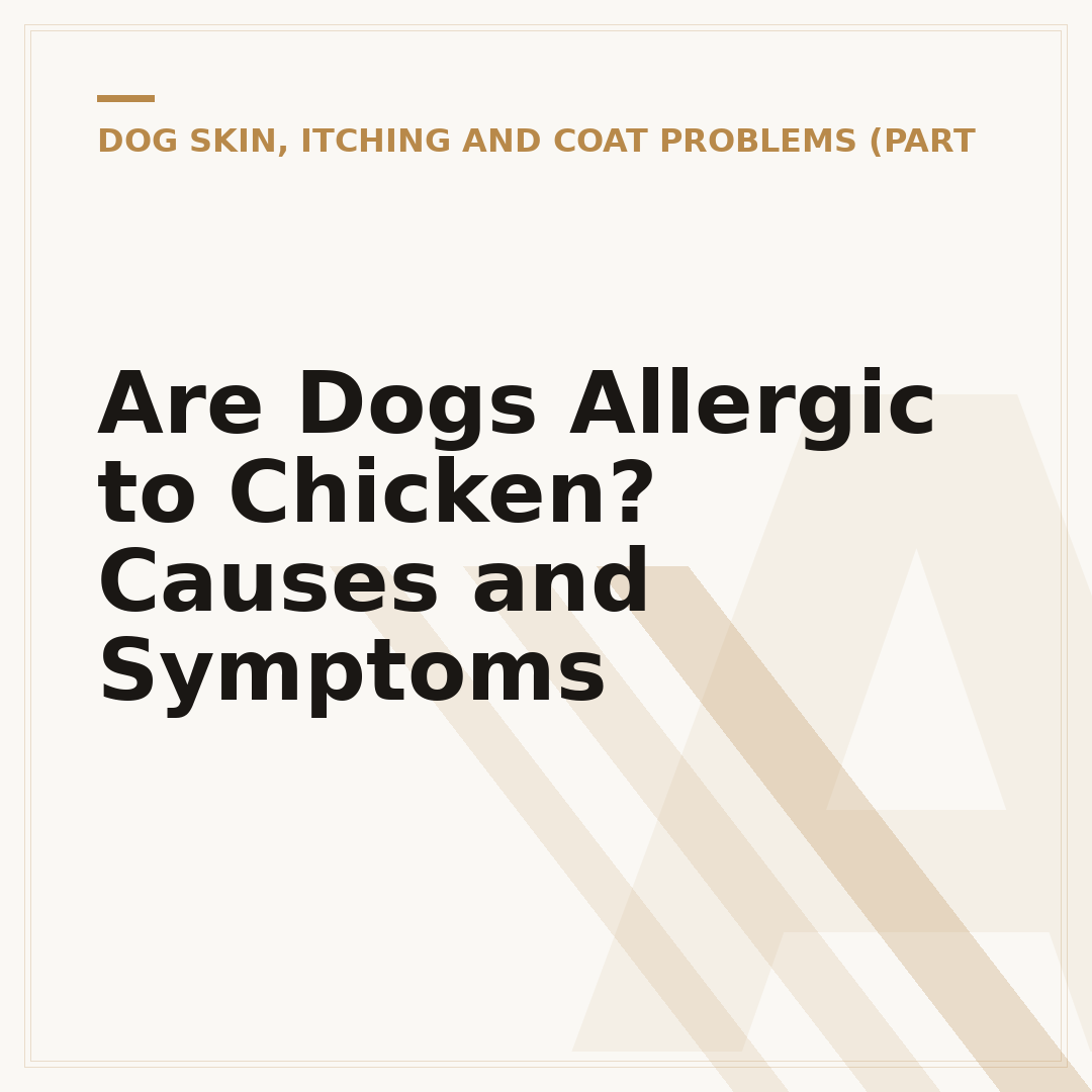 Are Dogs Allergic to Chicken? Causes and Symptoms
