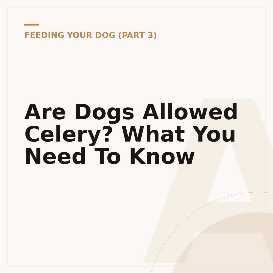 Are Dogs Allowed Celery? What You Need To Know