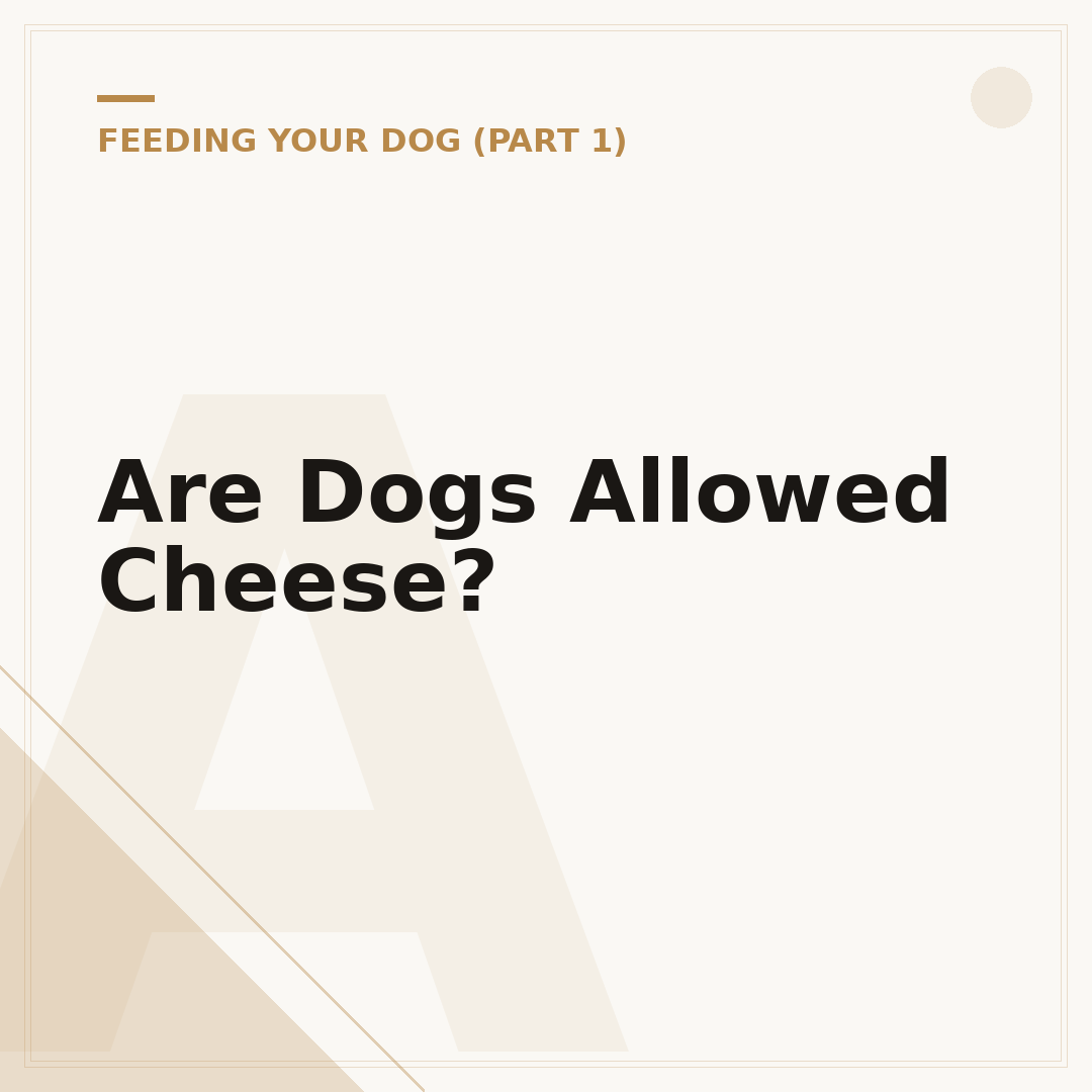 Are Dogs Allowed Cheese?