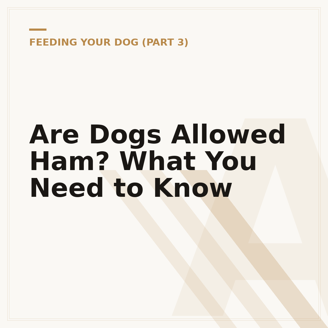 Are Dogs Allowed Ham? What You Need to Know