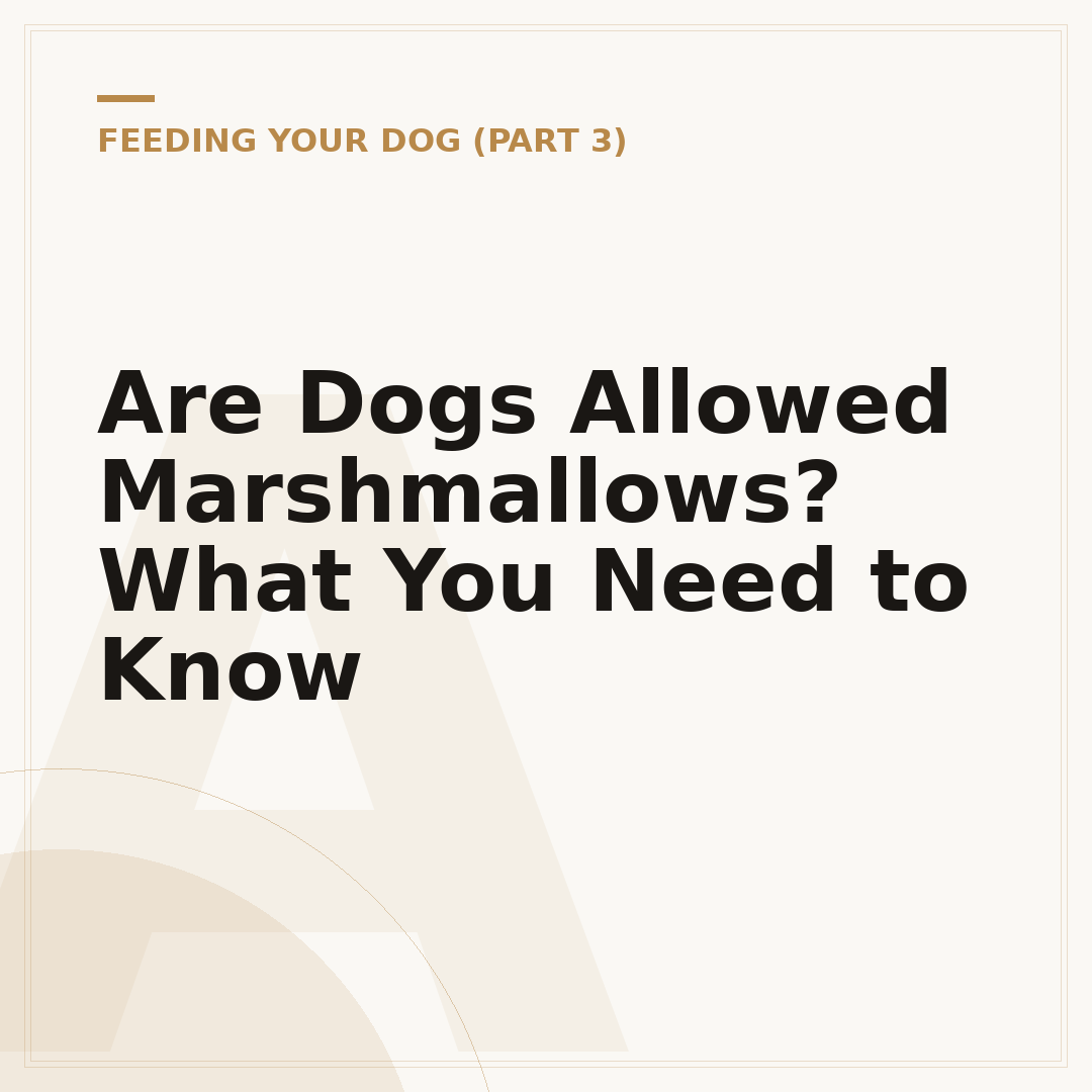 Are Dogs Allowed Marshmallows? What You Need to Know