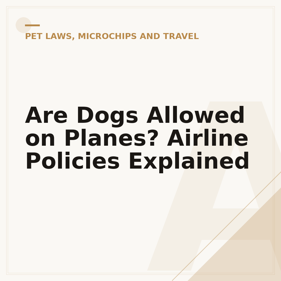 Are Dogs Allowed on Planes? Airline Policies Explained