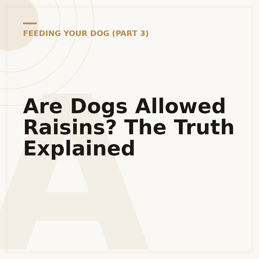 Are Dogs Allowed Raisins? The Truth Explained
