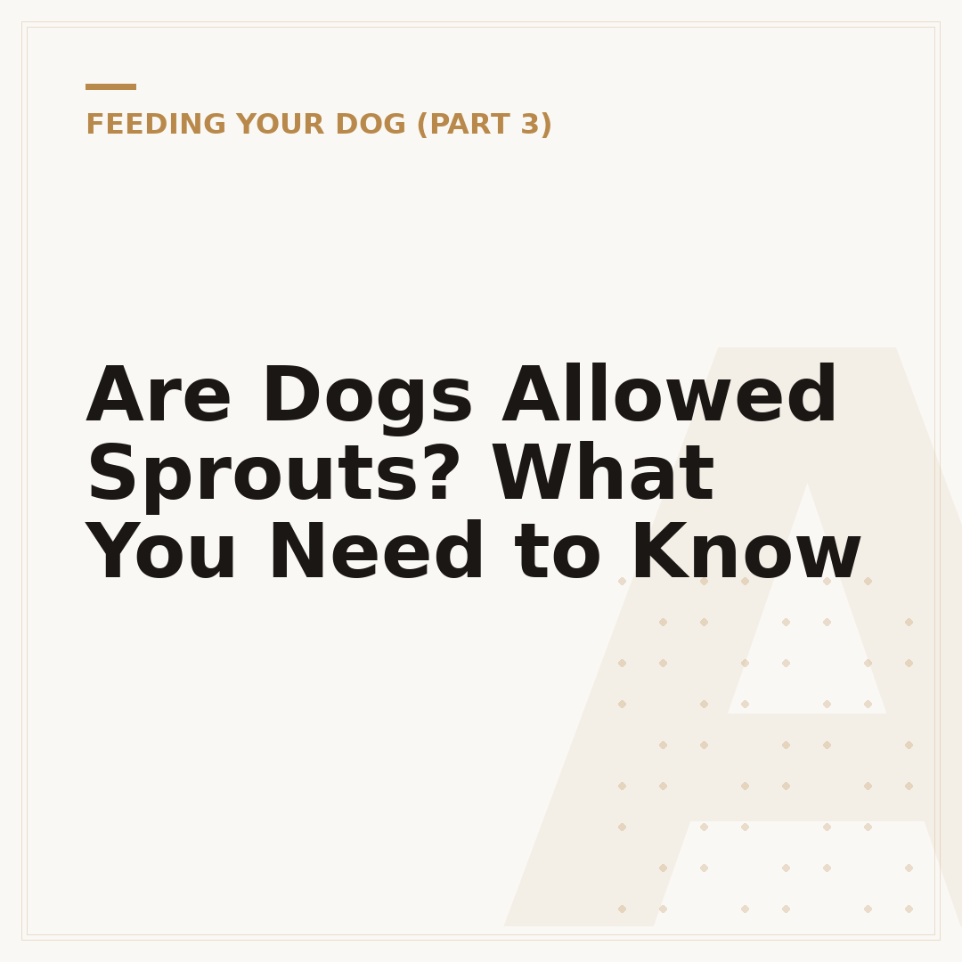 Are Dogs Allowed Sprouts? What You Need to Know