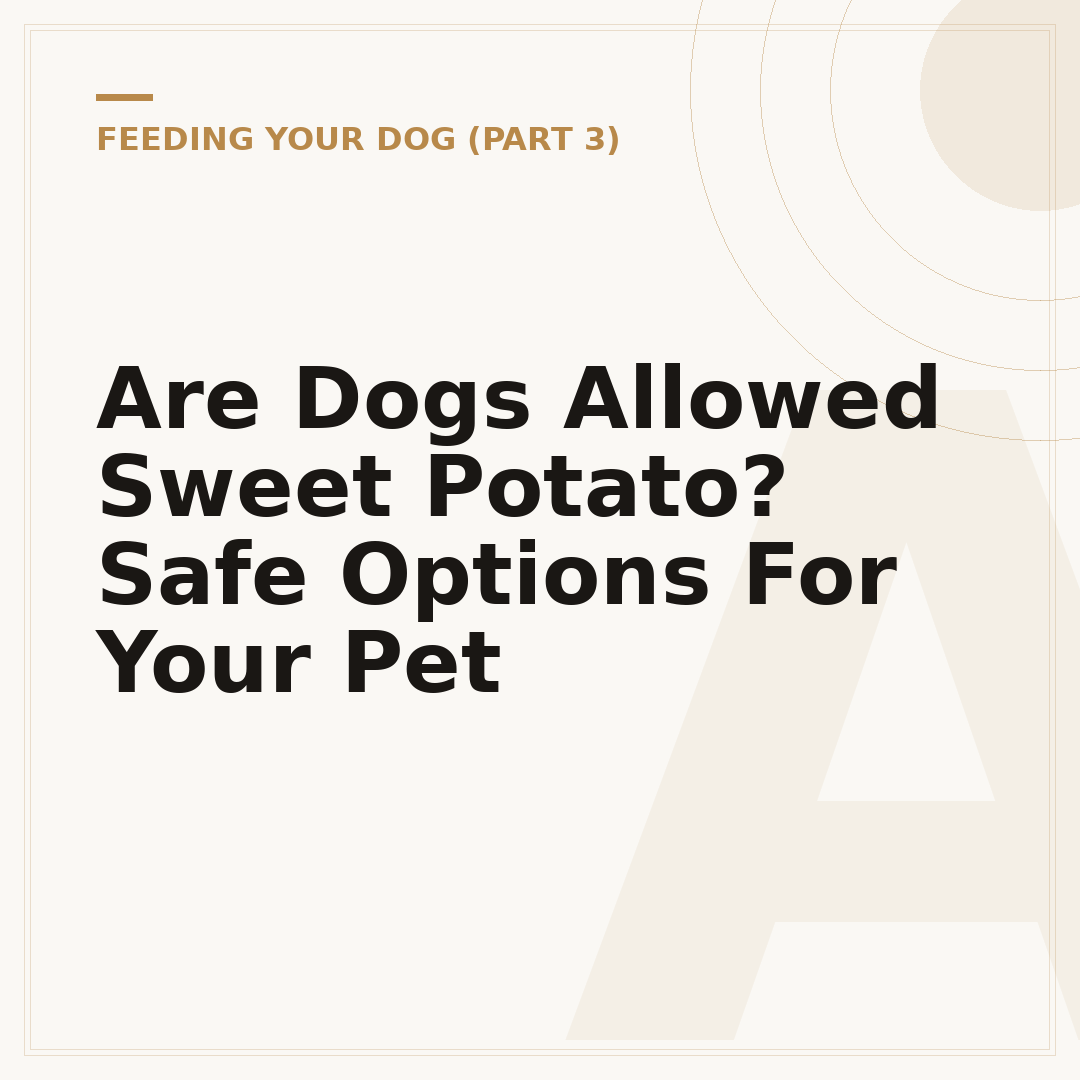 Are Dogs Allowed Sweet Potato? Safe Options For Your Pet