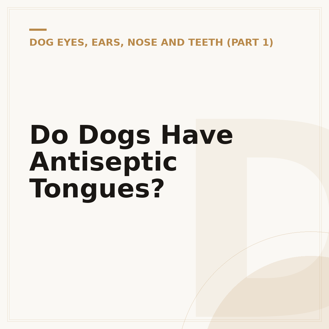 Do Dogs Have Antiseptic Tongues?