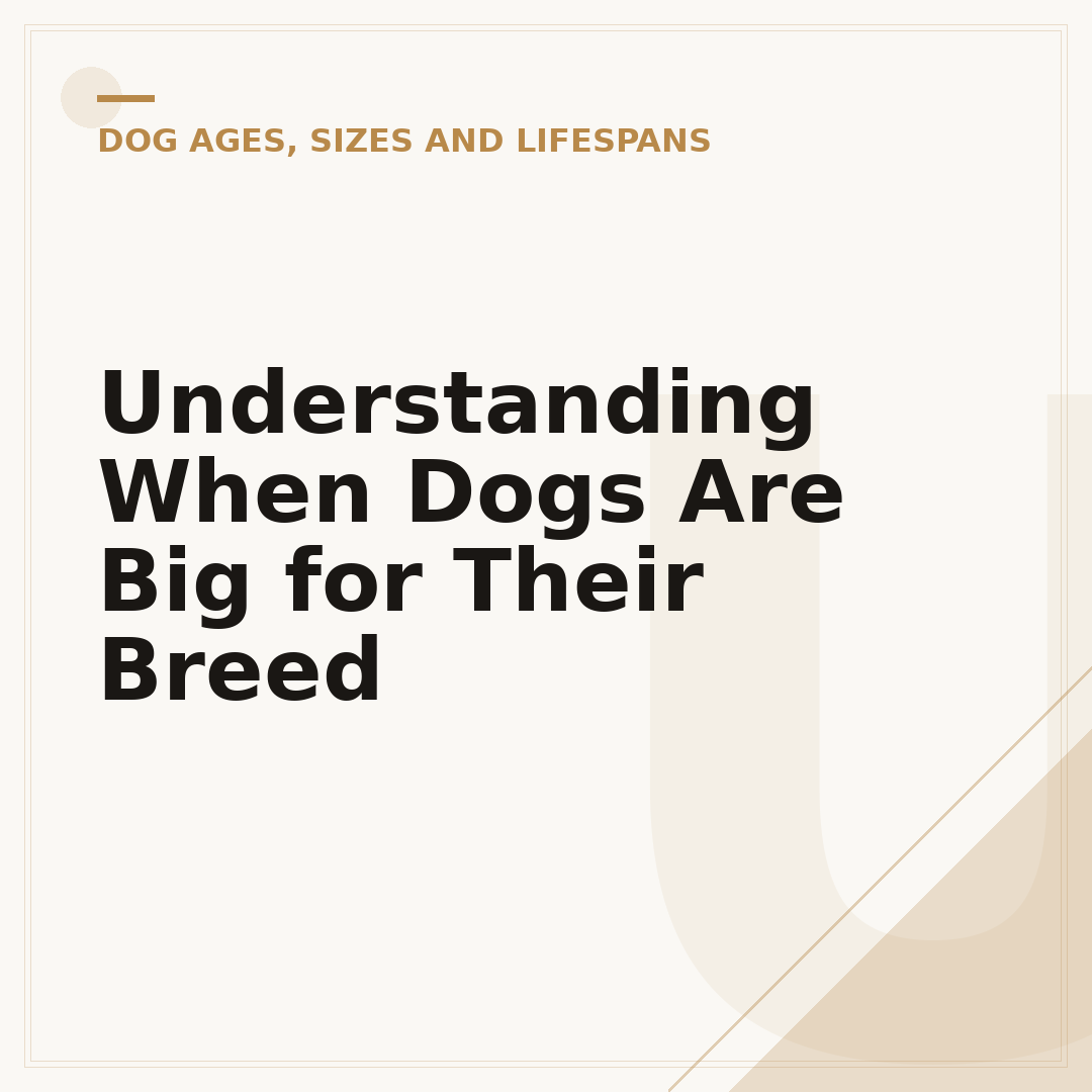 Understanding When Dogs Are Big for Their Breed