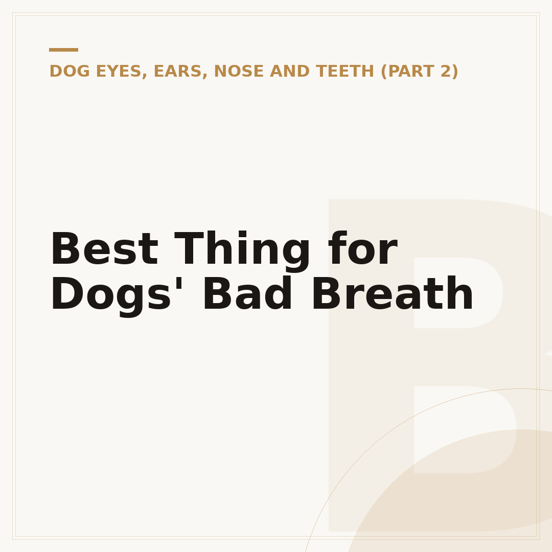 Best Thing for Dogs' Bad Breath