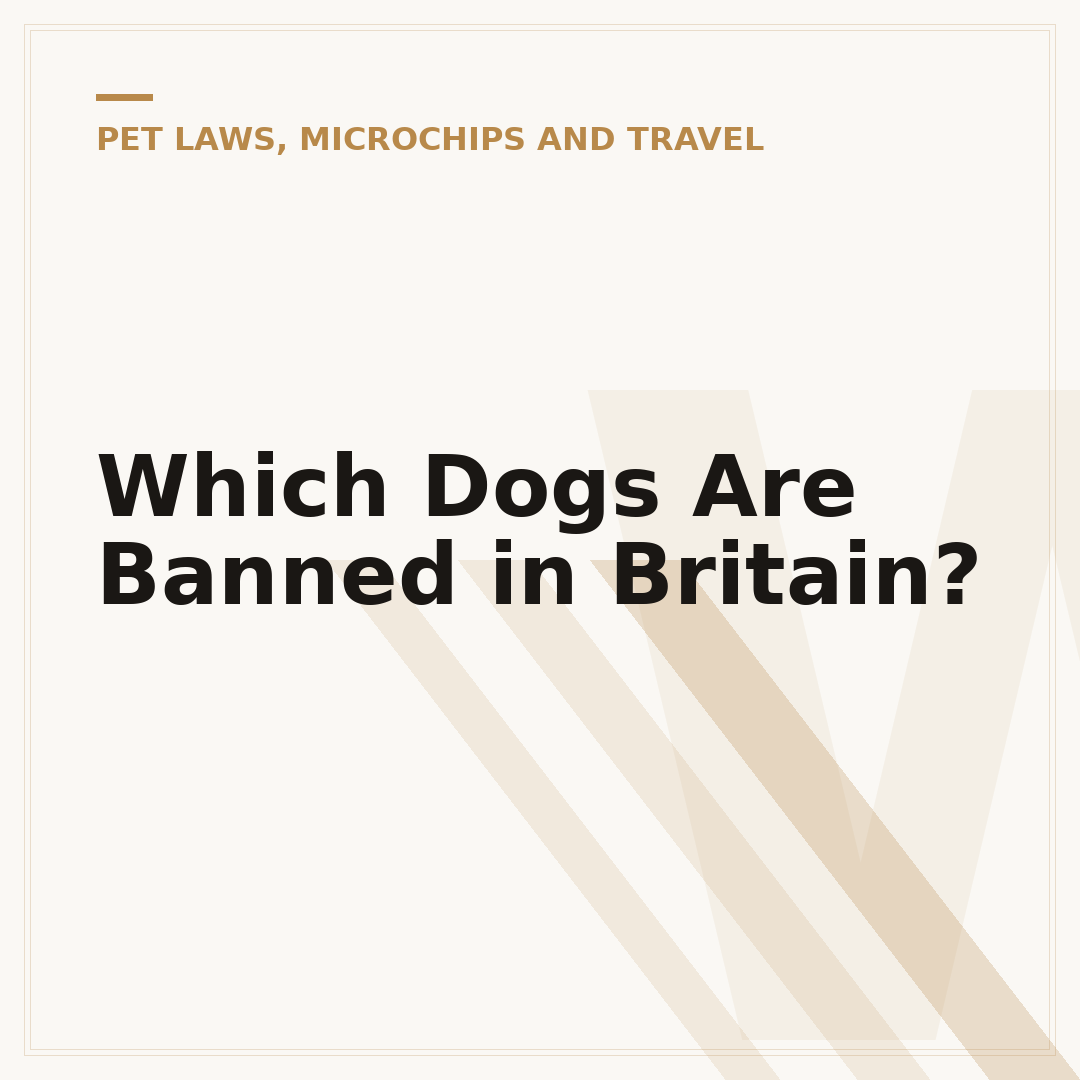Which Dogs Are Banned in Britain?