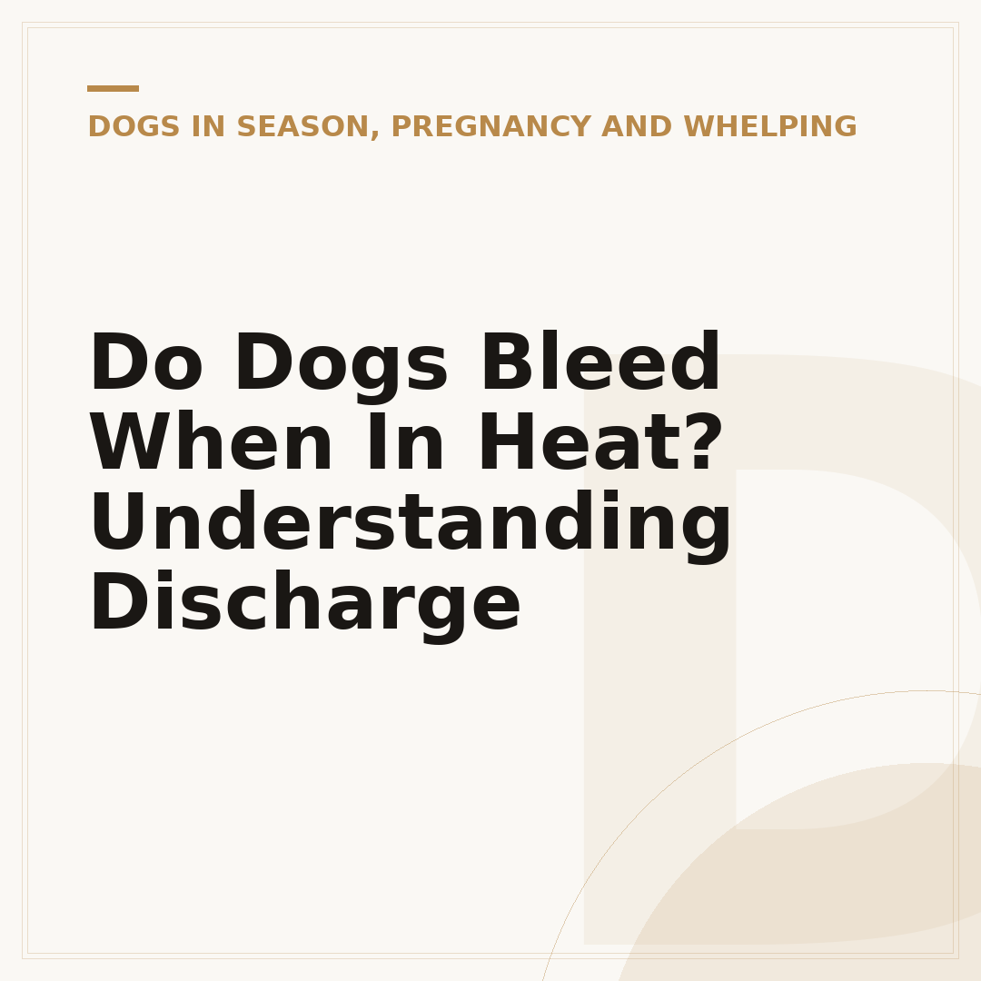 Do Dogs Bleed When In Heat? Understanding Discharge