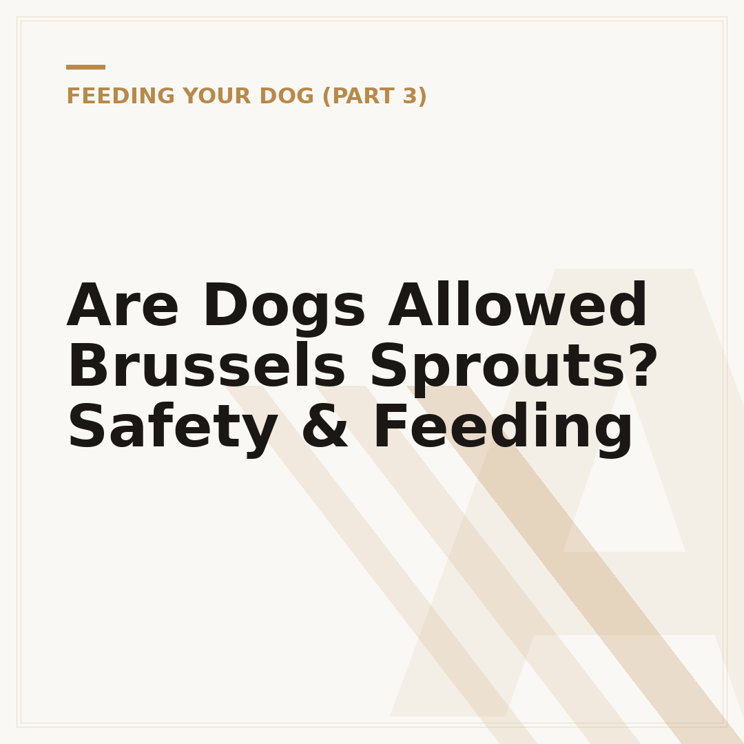 Are Dogs Allowed Brussels Sprouts? Safety & Feeding