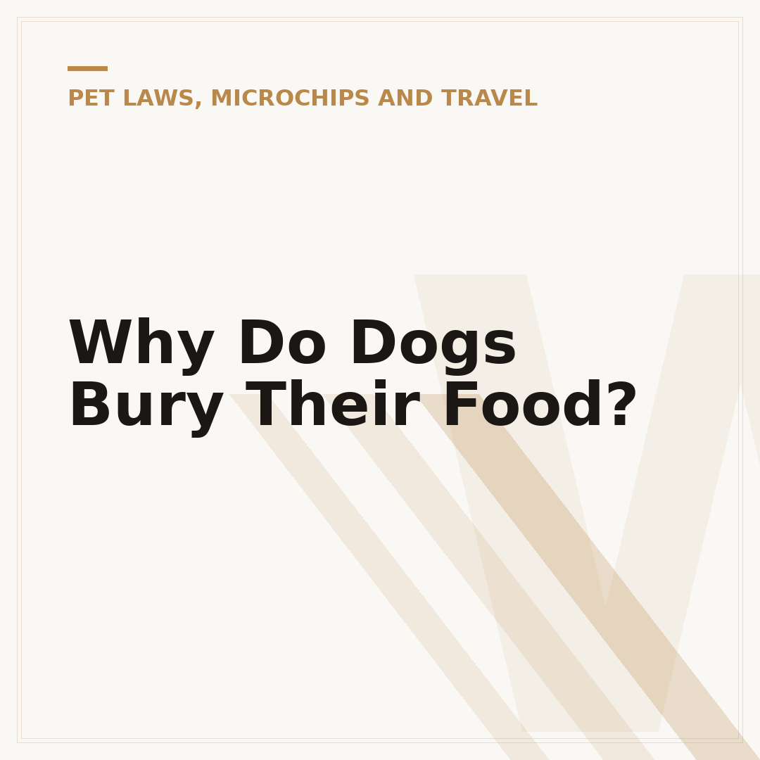 Why Do Dogs Bury Their Food?