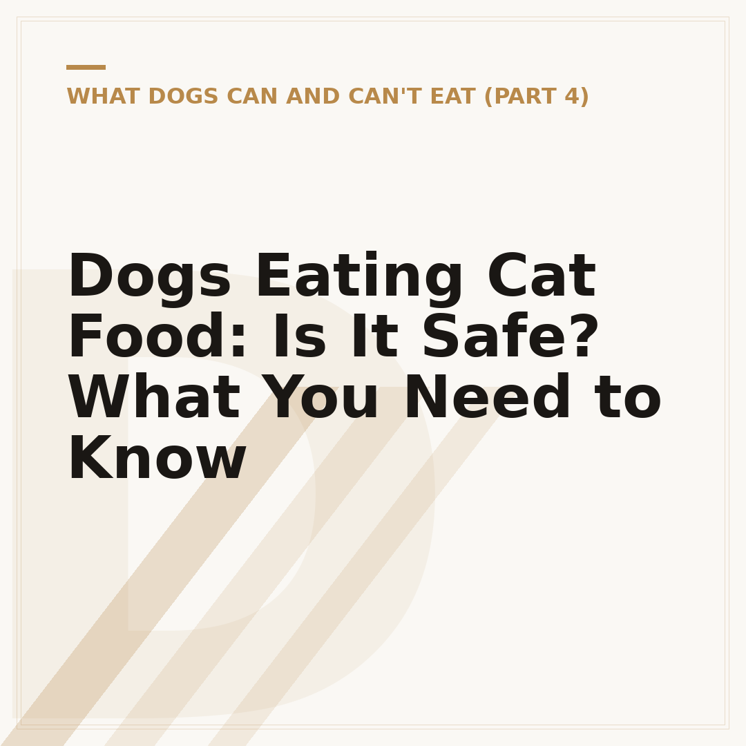 Dogs Eating Cat Food: Is It Safe? What You Need to Know