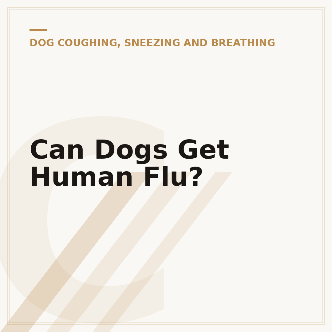 Can Dogs Get Human Flu?