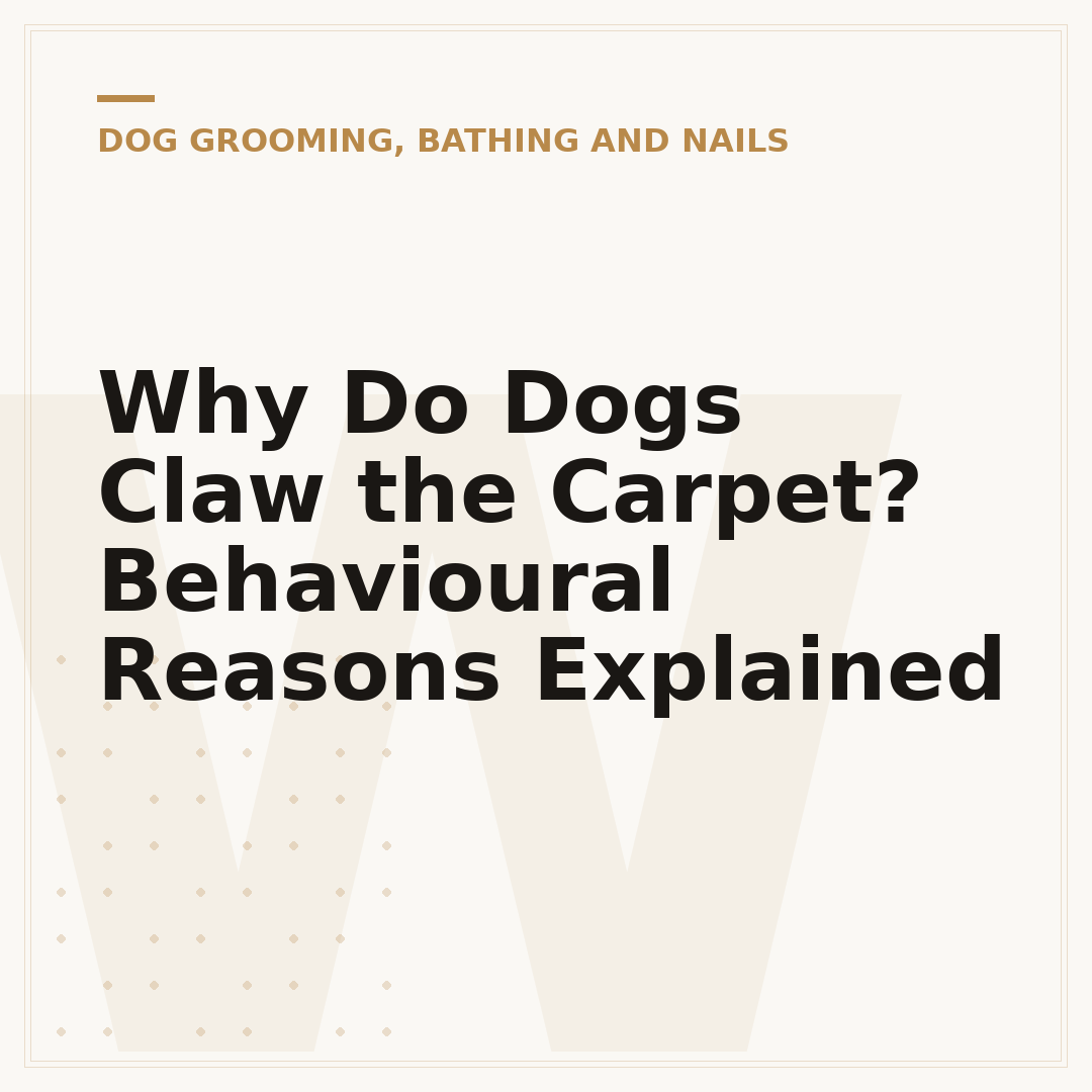 Why Do Dogs Claw the Carpet? Behavioural Reasons Explained