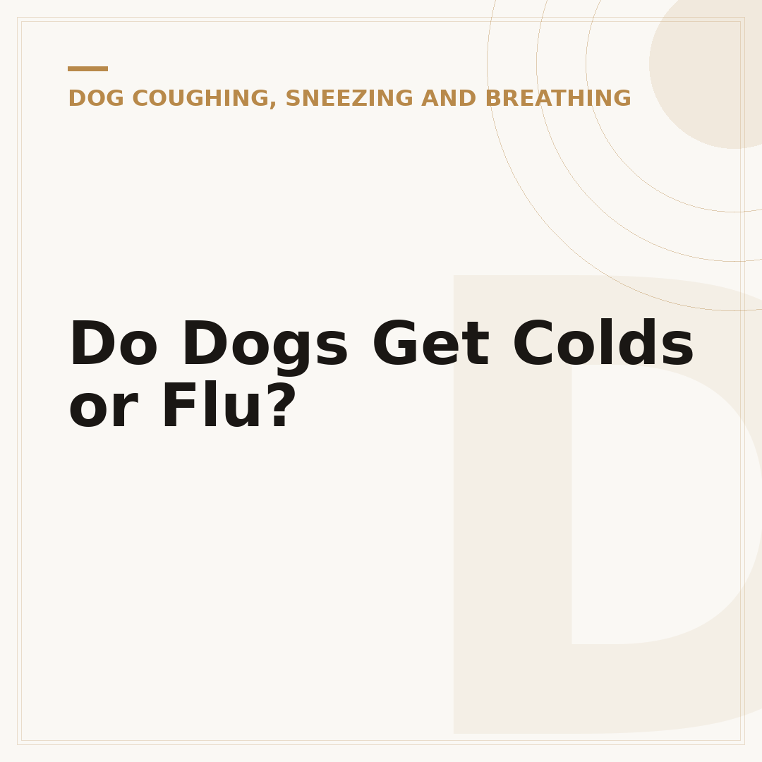 Do Dogs Get Colds or Flu?