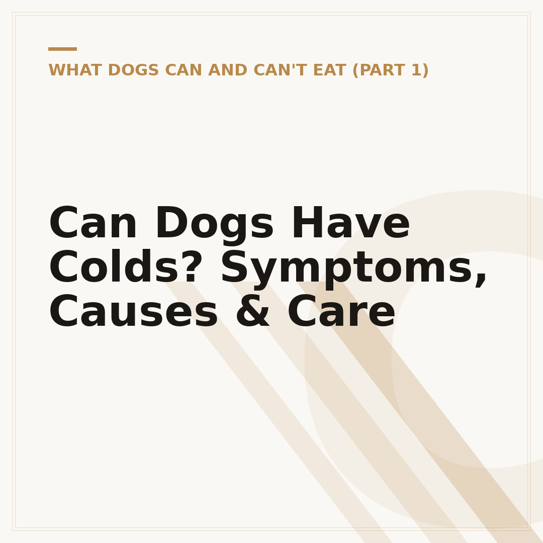 Can Dogs Have Colds? Symptoms, Causes & Care