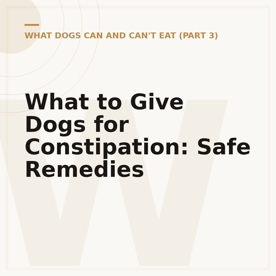 What to Give Dogs for Constipation: Safe Remedies