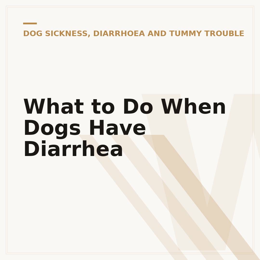 What to Do When Dogs Have Diarrhea
