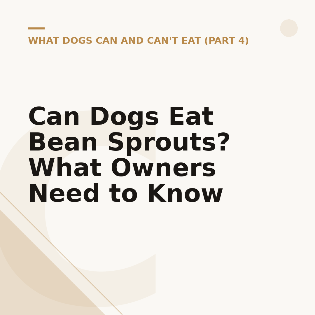 Can Dogs Eat Bean Sprouts? What Owners Need to Know