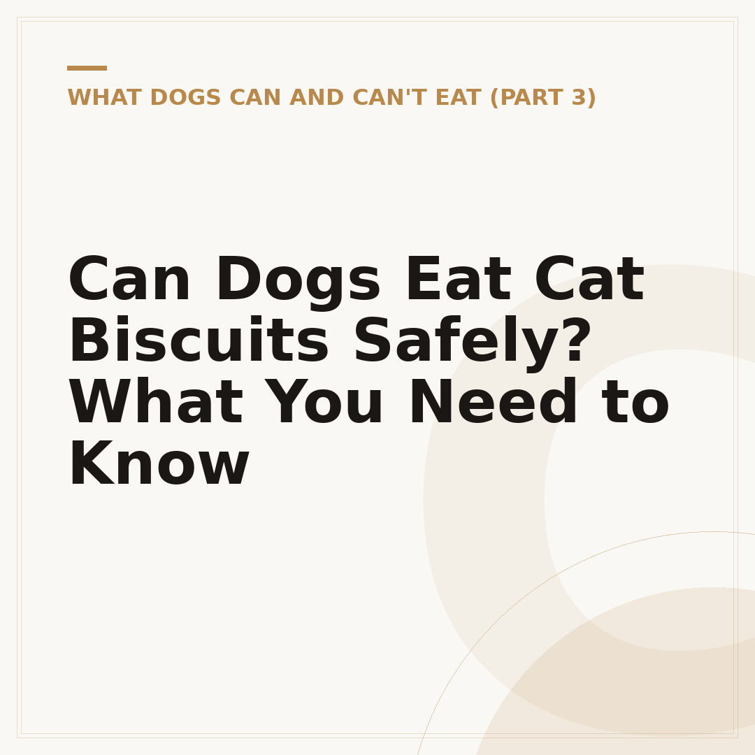 Can Dogs Eat Cat Biscuits Safely? What You Need to Know