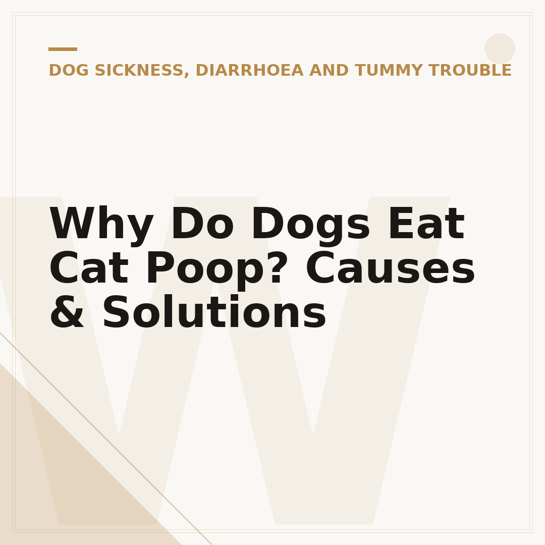 Why Do Dogs Eat Cat Poop? Causes & Solutions