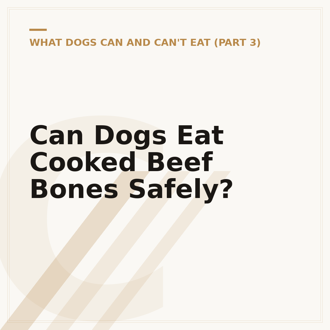 Can Dogs Eat Cooked Beef Bones Safely?