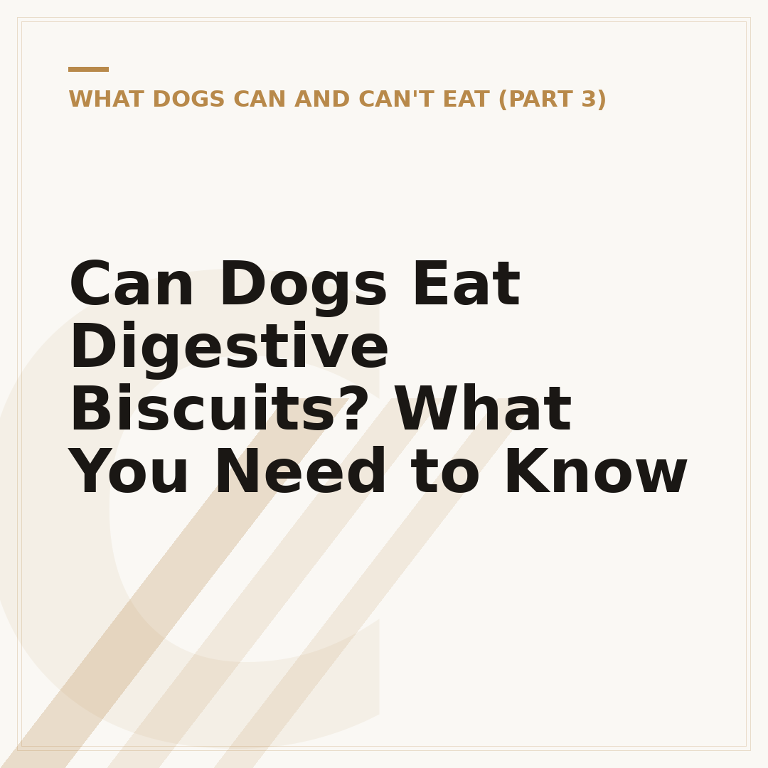Can Dogs Eat Digestive Biscuits? What You Need to Know